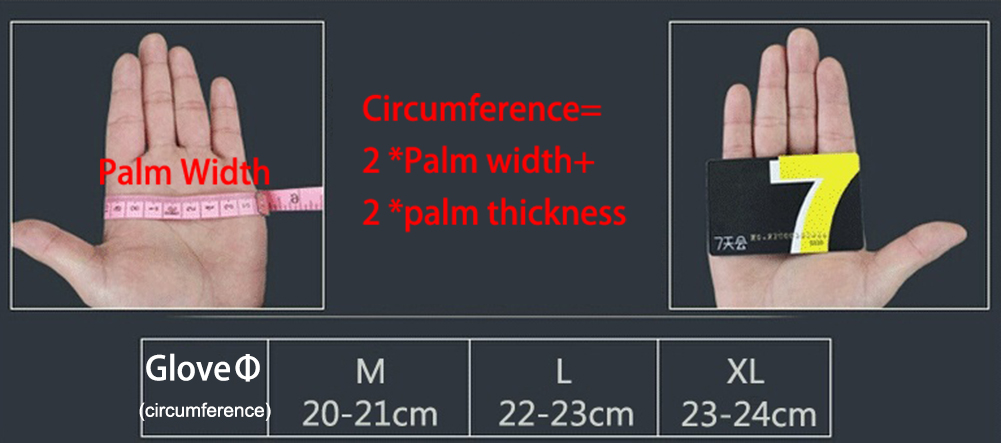 Gym Weights Dumbbells Weightli - Crossfit Workout With Equipment บทวิจารณ์และราคา